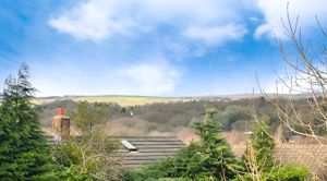 View- click for photo gallery